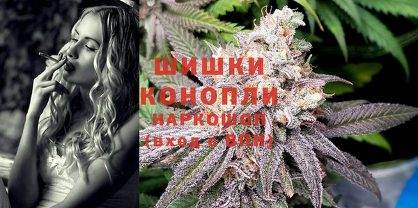 гашик Вязники