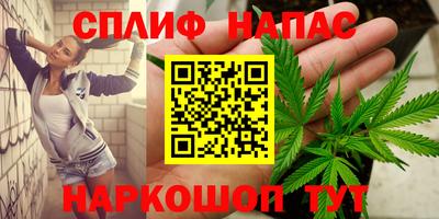 ALPHA PVP Пугачёв