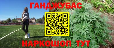 индика Пушкино