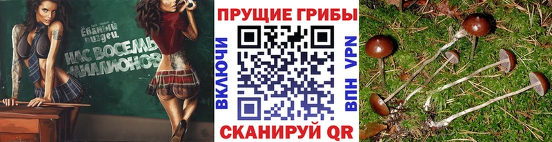 Псилоцибиновые грибы Magic Shrooms  продажа наркотиков  Ноябрьск 