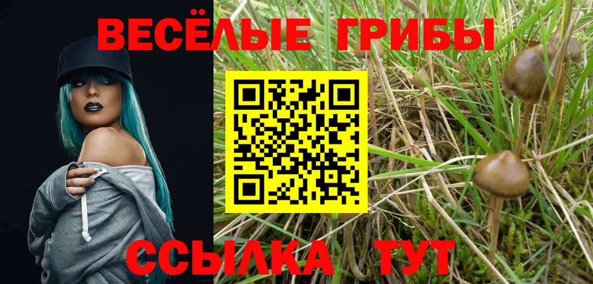 купить закладку  Вход с VPN  Ноябрьск  Галлюциногенные грибы мухоморы 