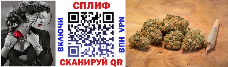 Шишки марихуана семена  Ноябрьск 